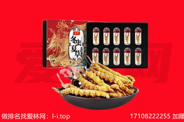 淄博高青县回收虫草.jpg